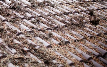 Palgrave roof cleaning companies