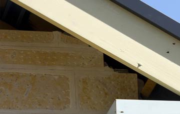 soffit repair Palgrave