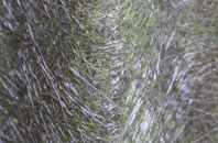 Palgrave fibreglass roof work