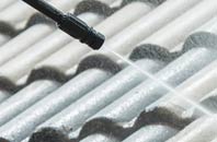 rated Palgrave roof cleaning companies