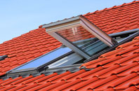 Palgrave roof window
