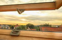 rated Palgrave roof window companies